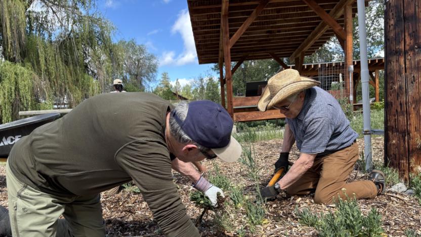 Homestream Park – Summer Spruce Up