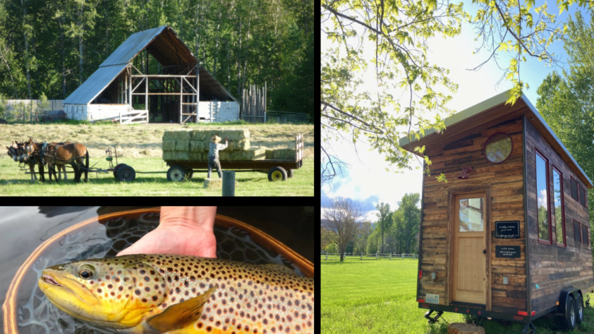 Experience the Methow Valley: an online auction