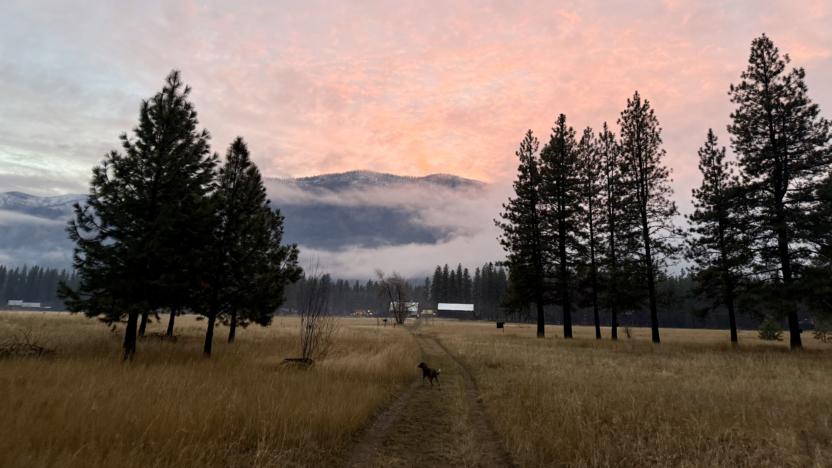 December 2025 Backyard Bulletin