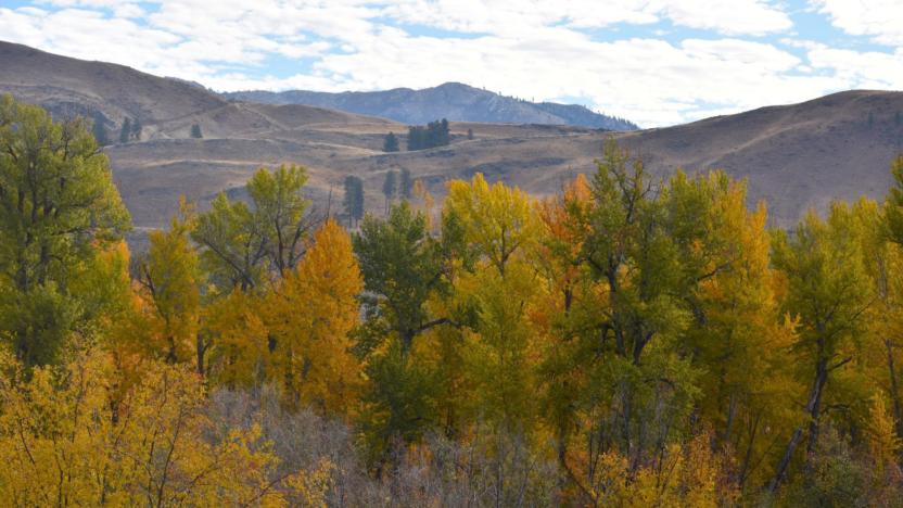 October 2025 Backyard Bulletin