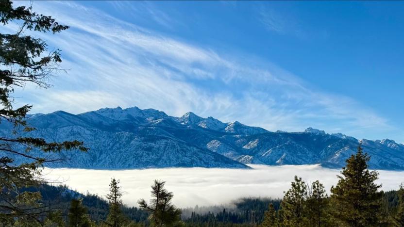 January 2025 Backyard Bulletin