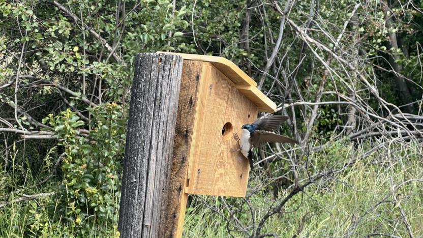 First Tuesday: Nature Close to Home with Thor Hanson