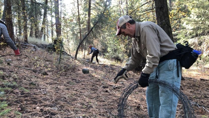 Sunny M Barbed Wire Removal Work Party