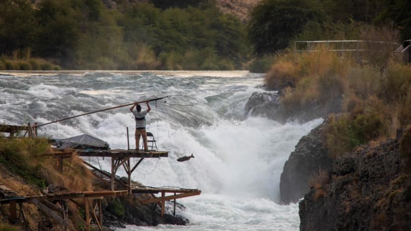 First Tuesday: Columbia River Resilience with Dave Moskowitz