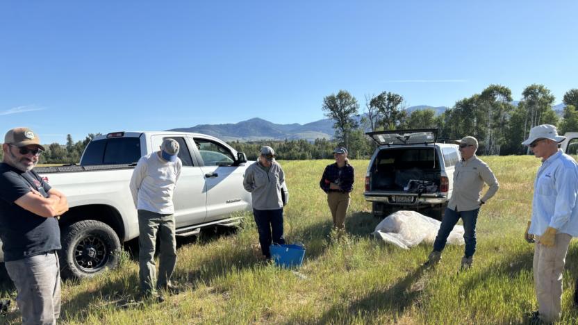 Sunny M Ranch Work Party