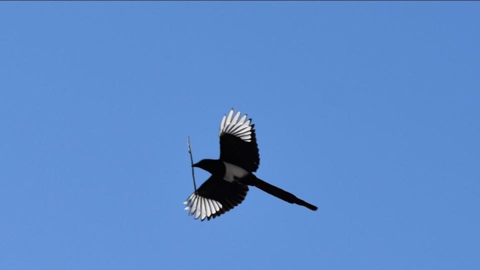 News: March 2023 - Methow Conservancy