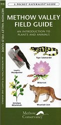 Field guide cover sm