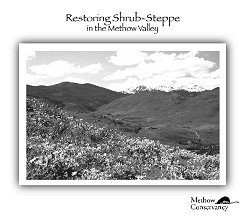 Shrub Steppe Rest Cover