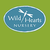 Wild Hearts Nursery