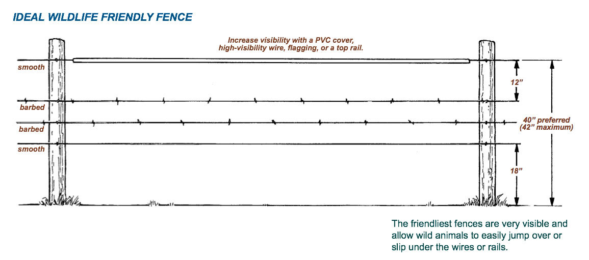 Wildlife friendlier fencing